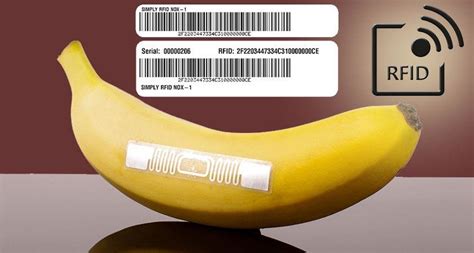 grocery rfid tags|rfid tag review.